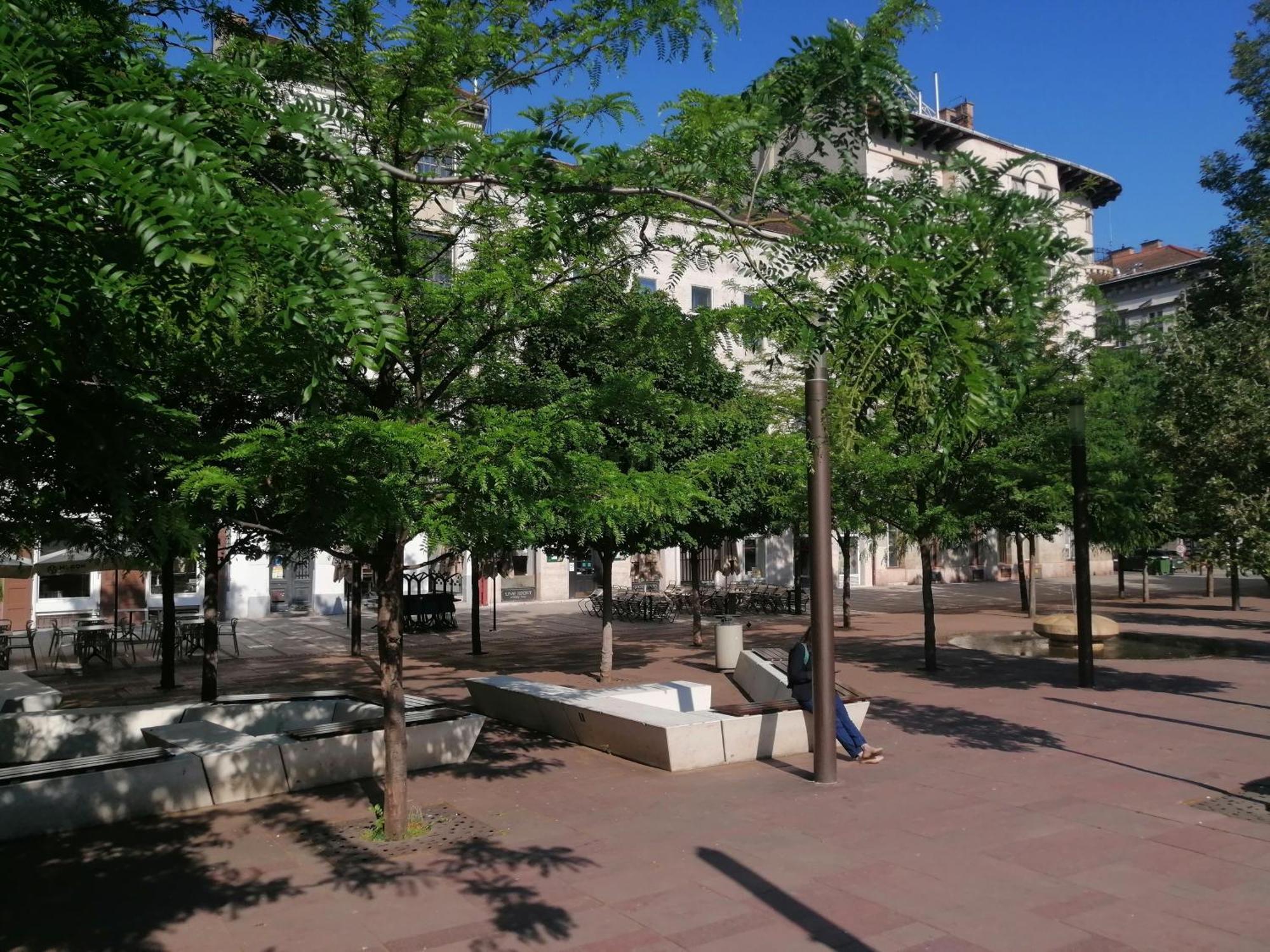 Apartment Stradivari *